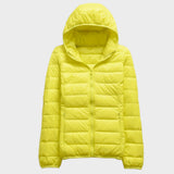 Beatriz | Átmeneti Stílusú Kabát